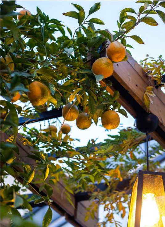 کوددهی و تغذیه